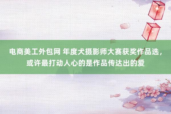 电商美工外包网 年度犬摄影师大赛获奖作品选，或许最打动人心的是作品传达出的爱